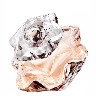 Perfume Lady Emblem 75Ml