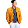 Blazer Forro Print