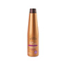 Shampoo Repair Argan 350 Ml