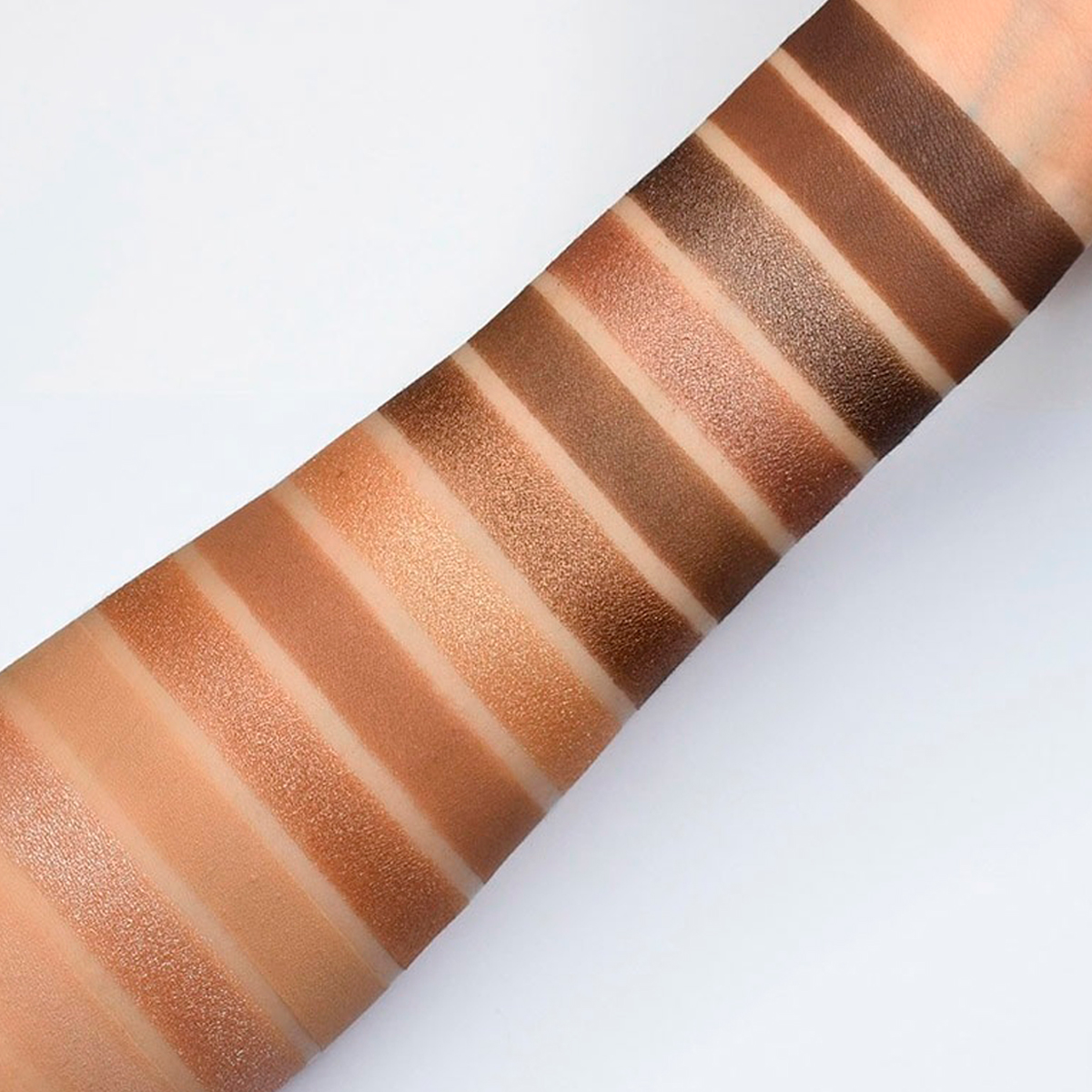 Paleta Sombra Temp 1