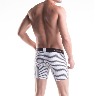 Boxer MD Timon
