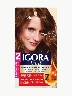 Igora Vital - Tinte Chocolate 6.68