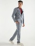 Terno Slim Fit Gris