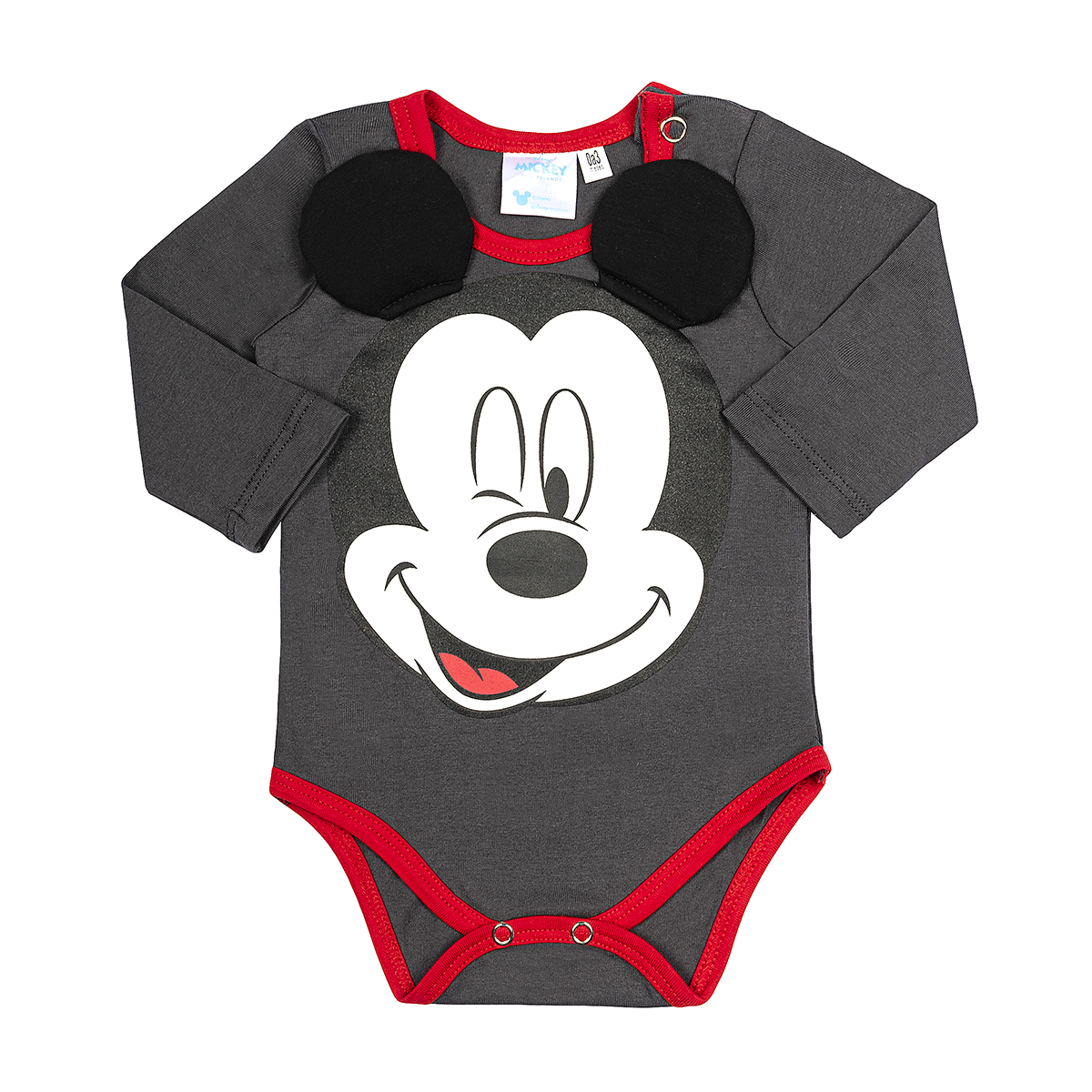 Body Mickey Mouse