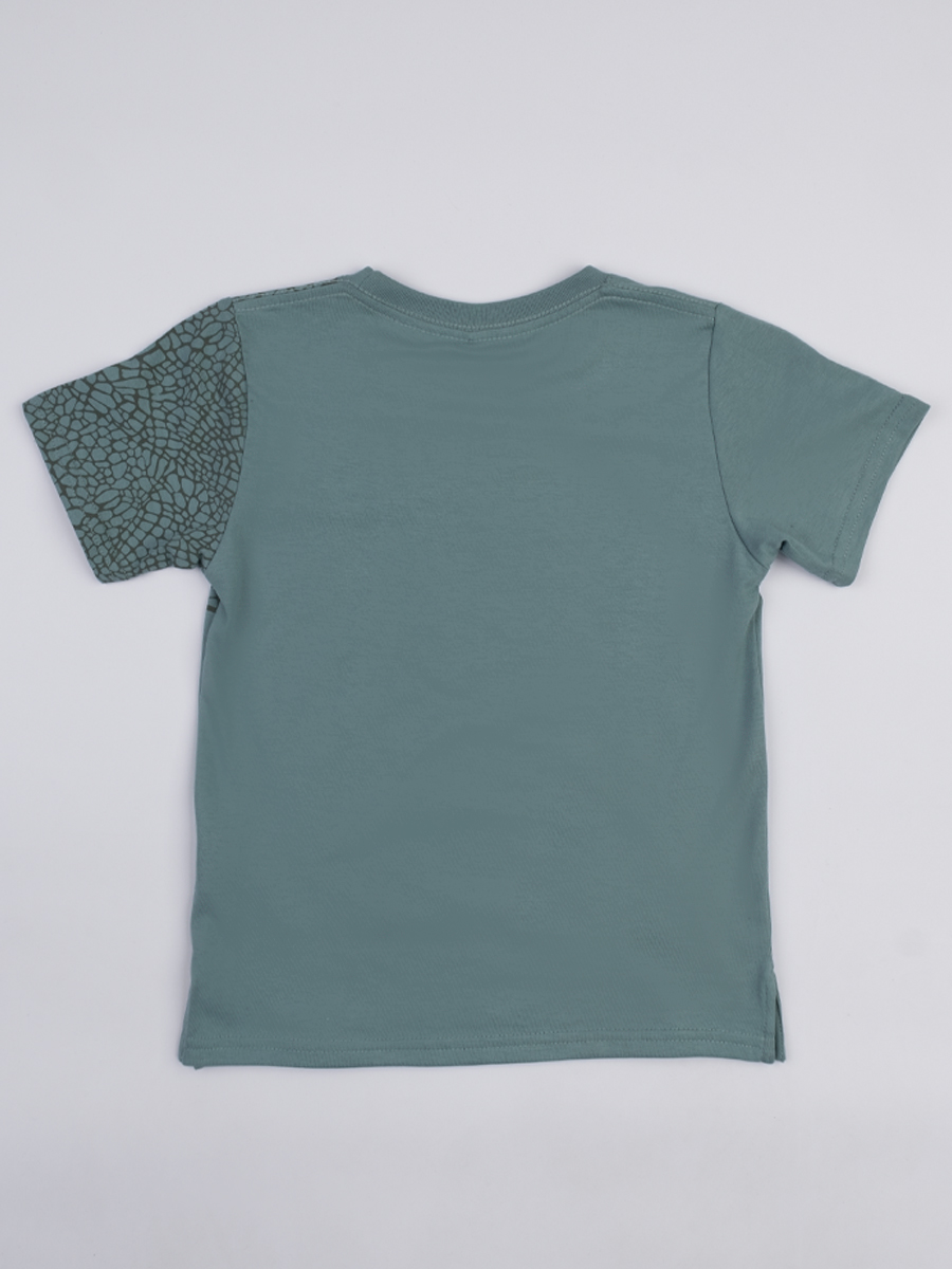 Camiseta Dinosaurio