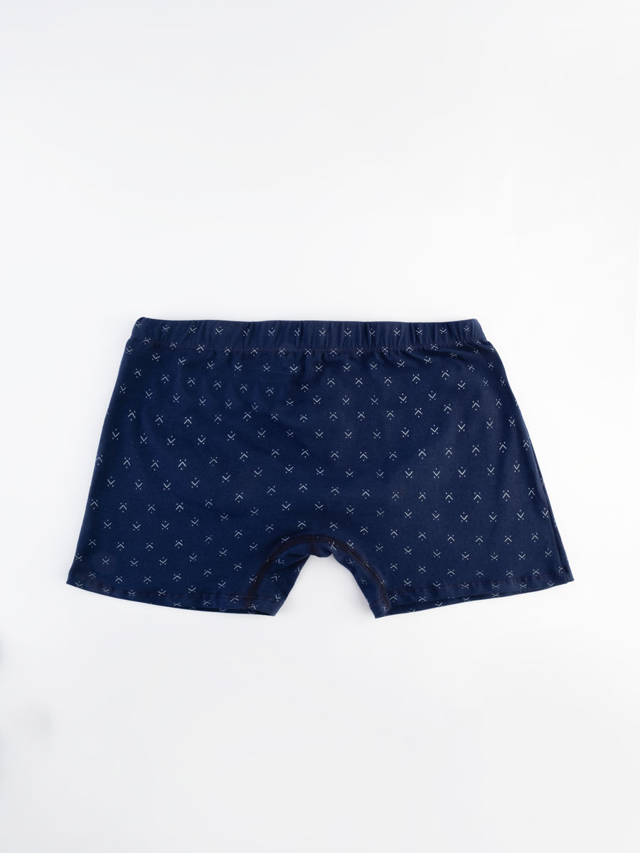 Boxer Navi