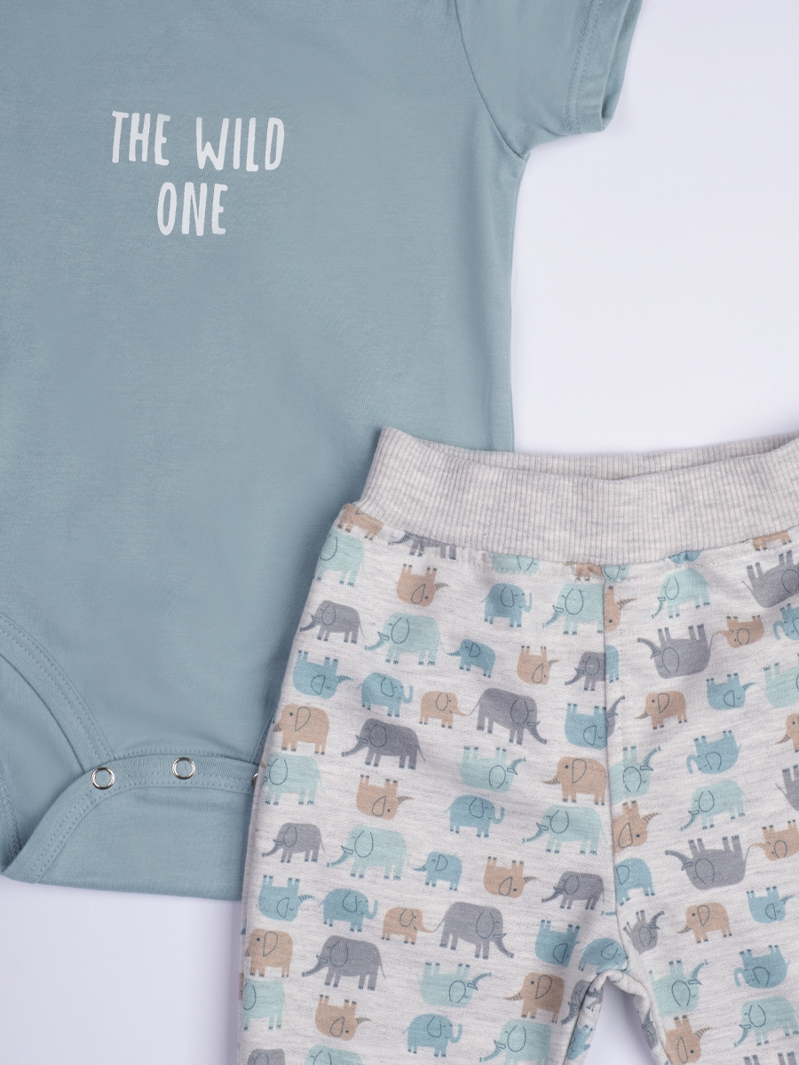 Conjunto The Wild One Pack X3
