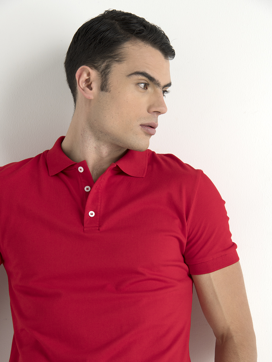 Camiseta Polo Llana
