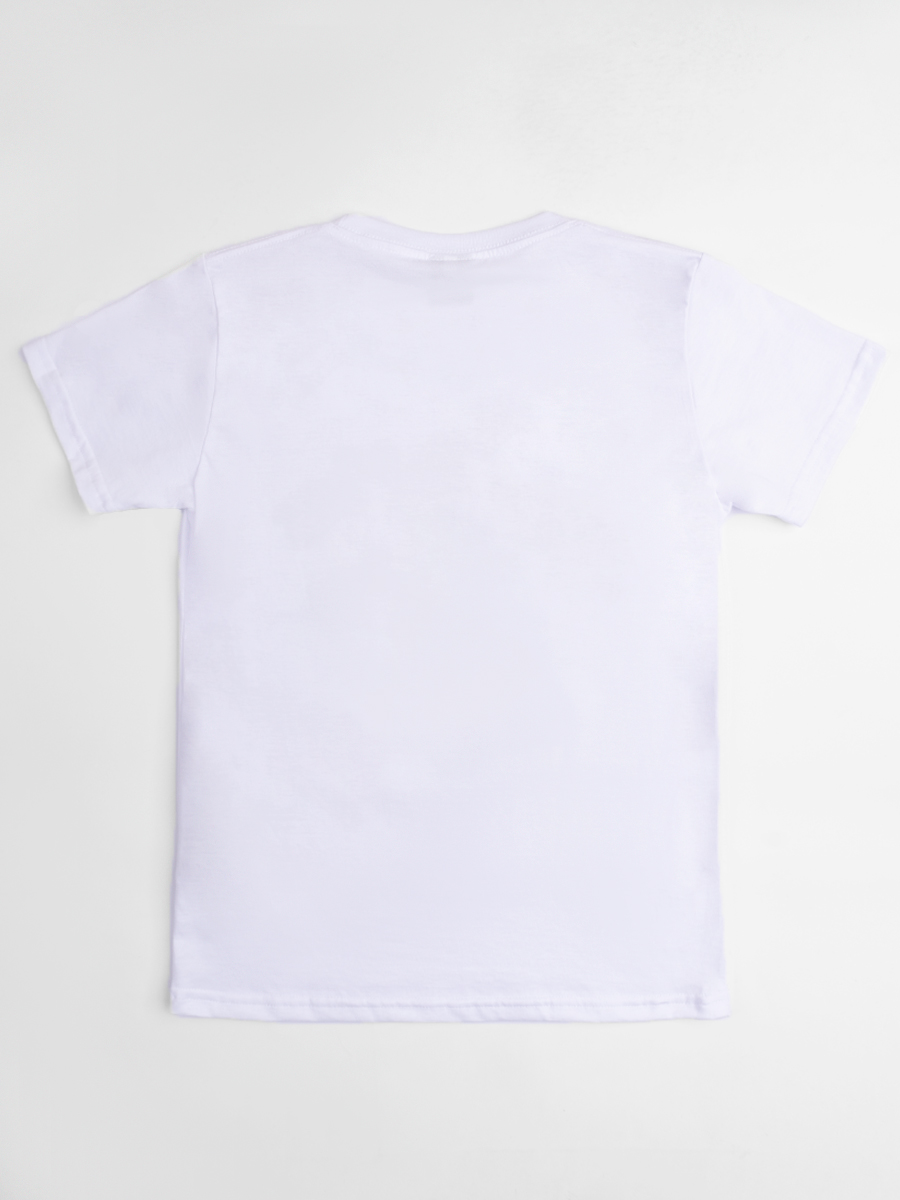 Camiseta Minecraft