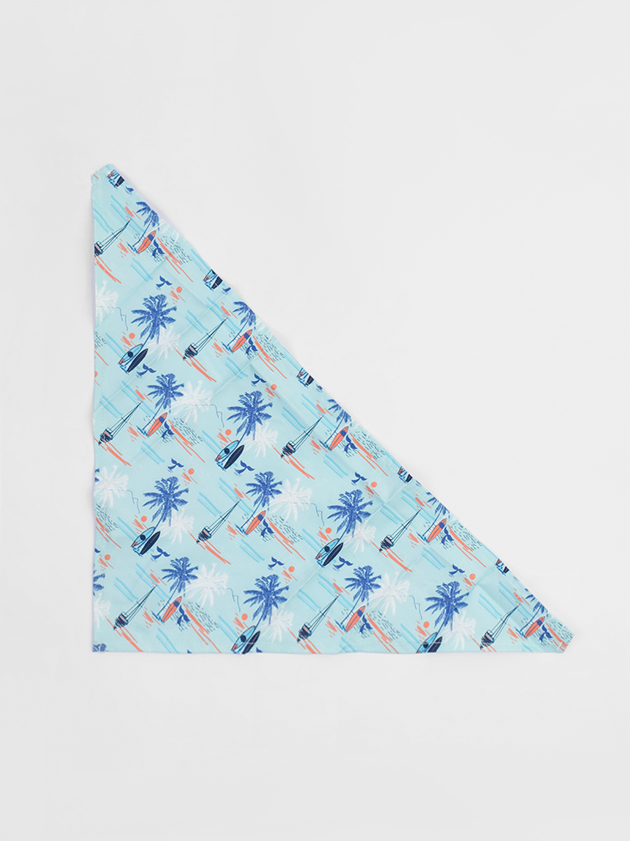 Pañuelo para Mascotas