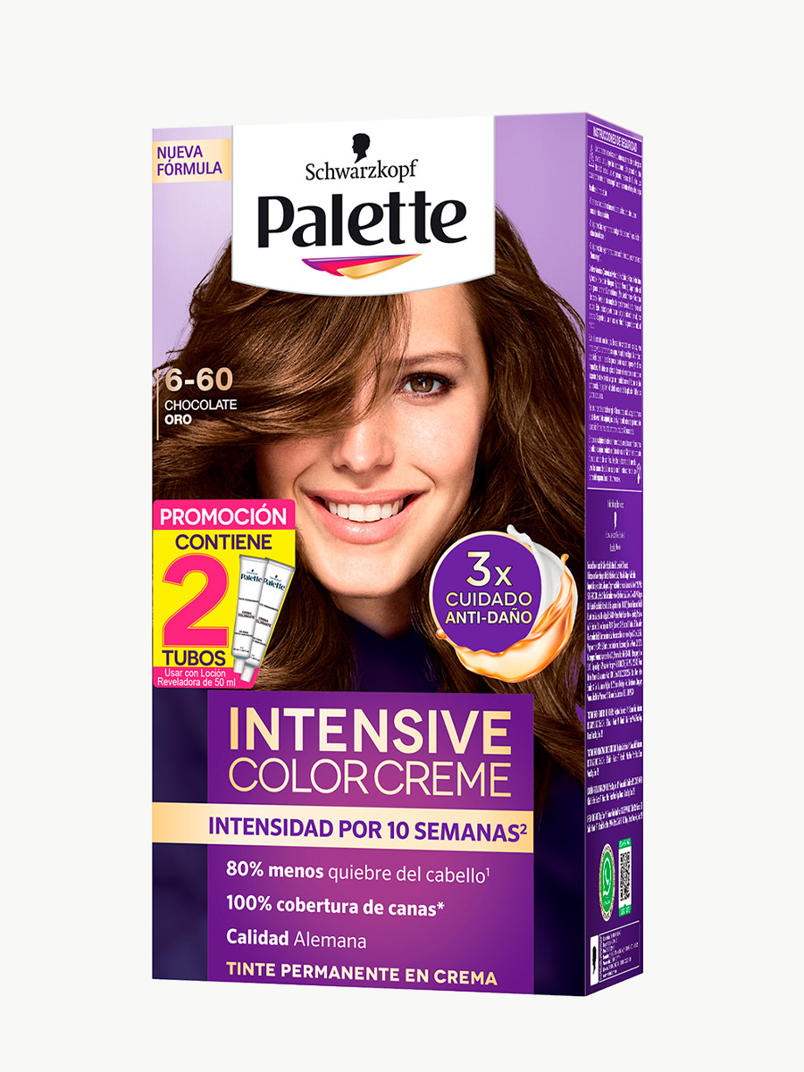 Palette - Tinte Cahocolate Oro 6-60