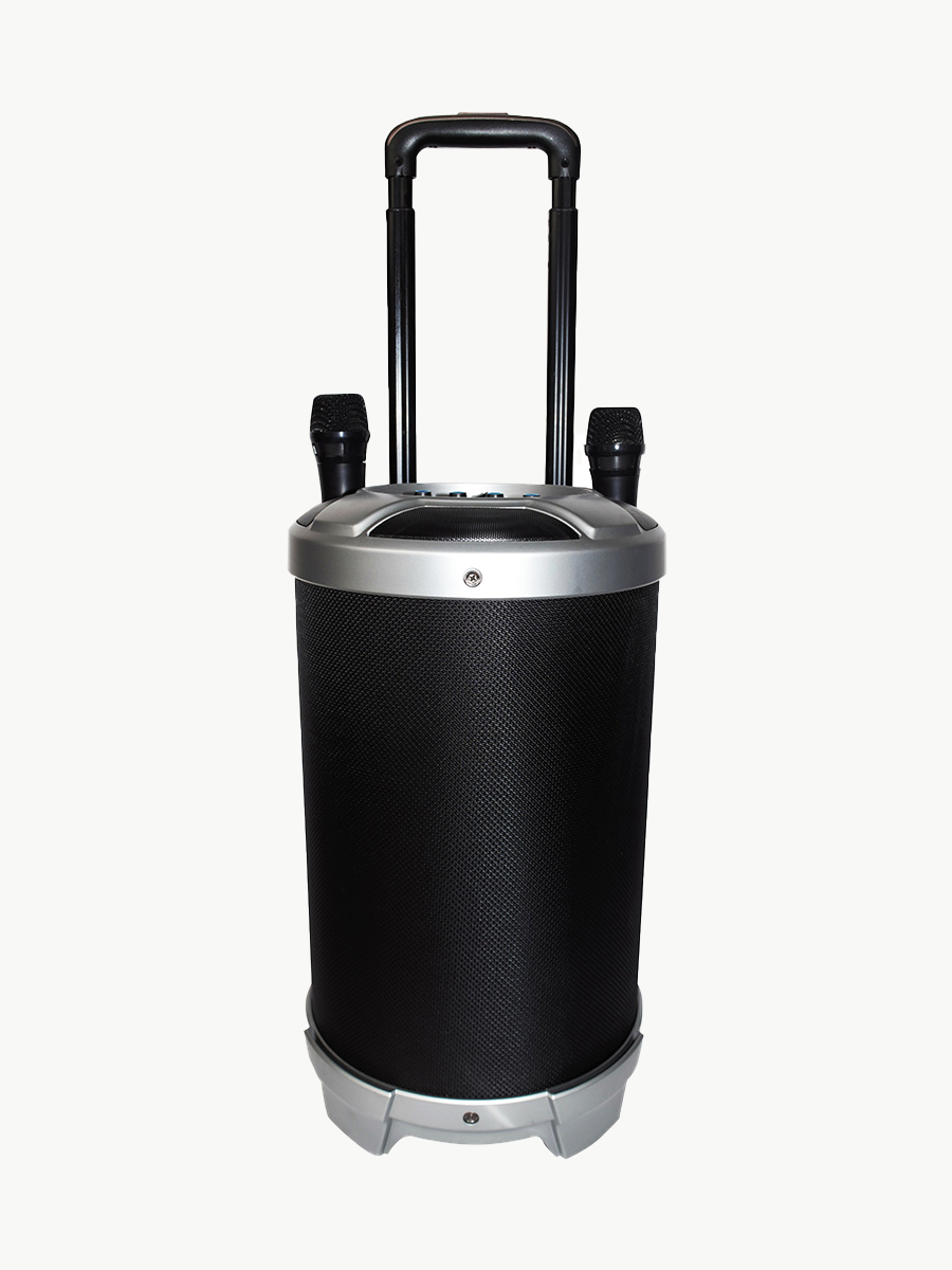 Parlante Amplificado Terrax Bluetooth 103W S36