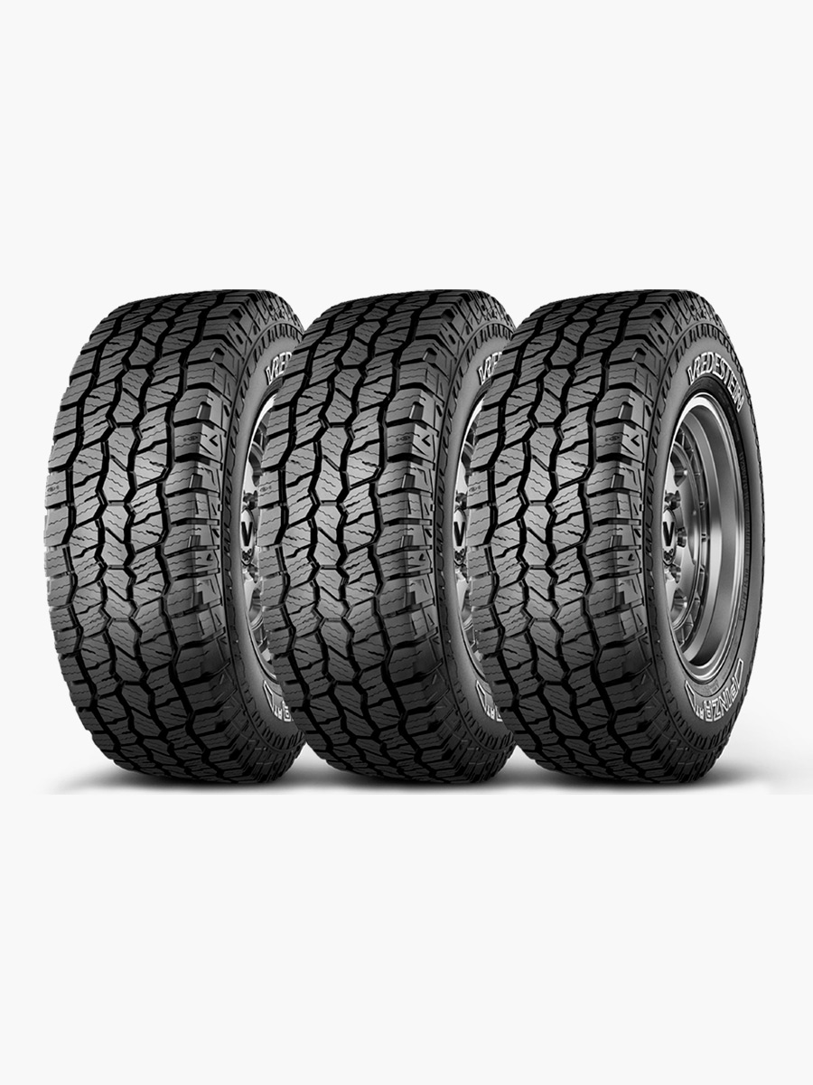 Set R20 de 3 Llantas + 1 Llanta Gratis Vredestein Pinza AT - 275/55