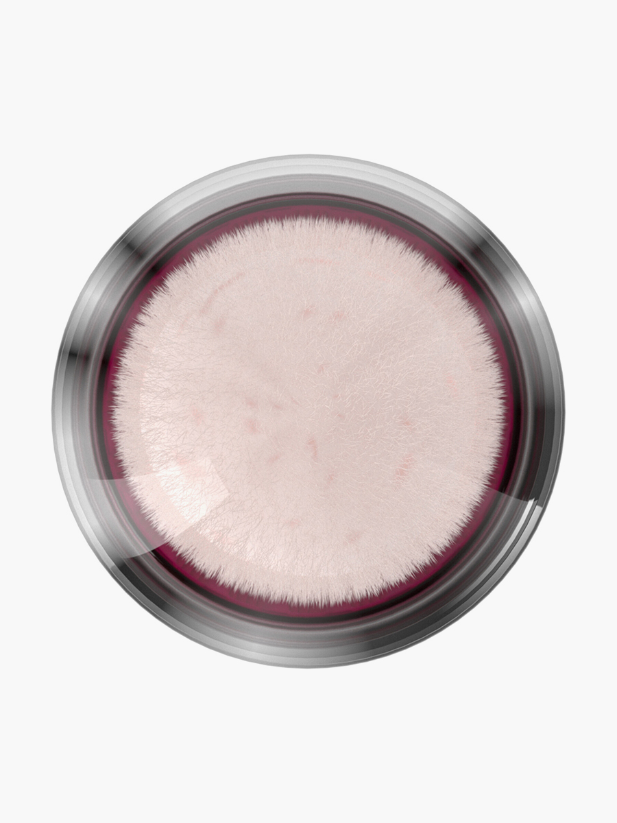 Corrector Maybelline NY Instant Eraser Brightner #160