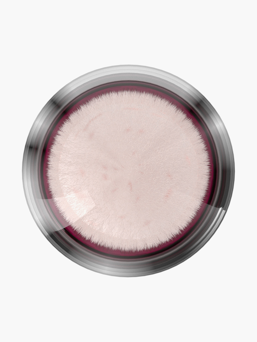 Corrector Maybelline NY Instant Eraser Caramel #144