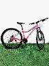 Bicicleta Invictus Aro 29 Mtb | Rosado