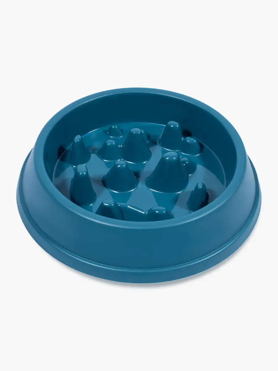 Plato de Comida para Mascota