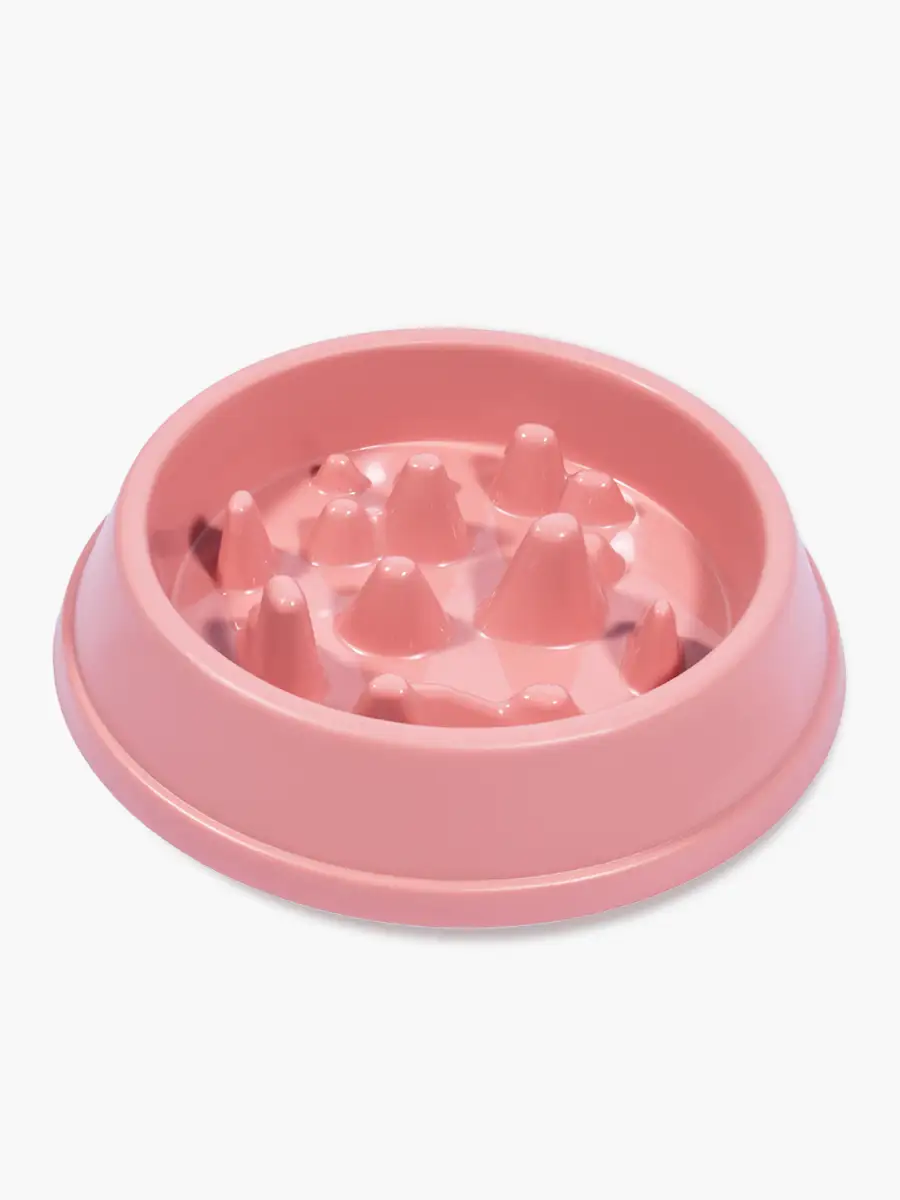 Plato de Comida para Mascota