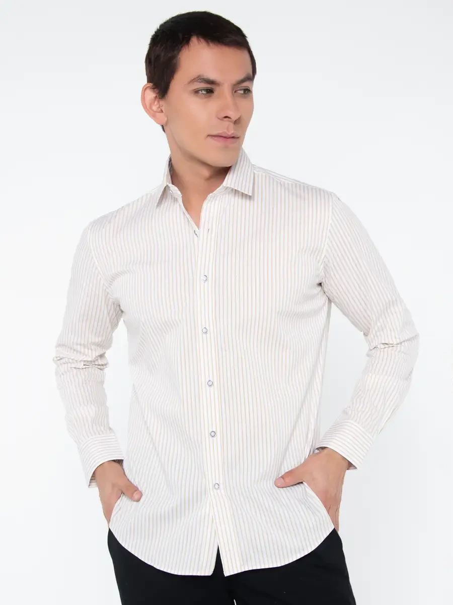 Camisa a Rayas - Ejecutive