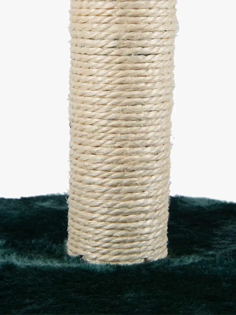 Rascador de Cactus para Gato