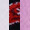 Media Tobillera Pack X3