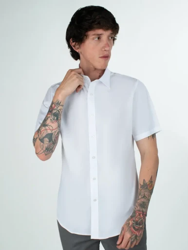<em class="search-results-highlight">Camisa</em> Llana - August 1810