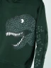 Hoddie Infantil Estampado Dinosaurio